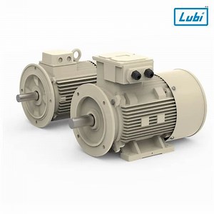 Induction Motor - Lubi Ac Motor Manufacturer from Ahmedabad