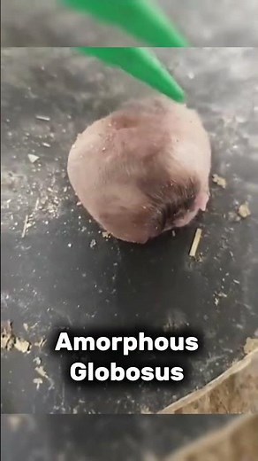 You Won’t Believe What This Is