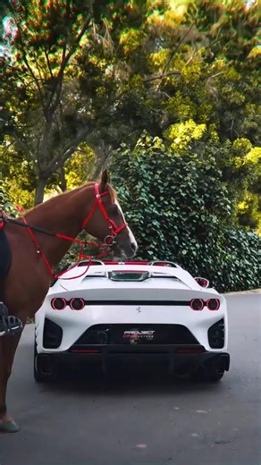 Ferrari 💯 vs Horse 🐎#ferrari #ferraricar #ferrarif1 #shorts #cars #caredit #horse #viral #trending