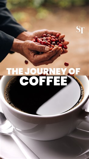 ☕🎧 Discover the sights and sounds of coffee-making as we trace its journey from the hills of Ciwidey in Indonesia's West Java all the way to your cup. https://str.sg/sErn #coffeeasmr #coffee #asmr #Indonesia #StraitsTimes | The Straits Times