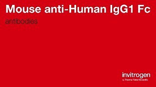 Mouse anti-Human IgG1 Fc secondary antibodies from Thermo Fisher Scientific