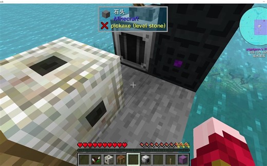 [Minecraft]1.16.5植物魔法复制任意物品BUG