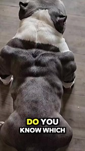 #funfactsdaily #highlights2025 | Fun Fact and Motivation words