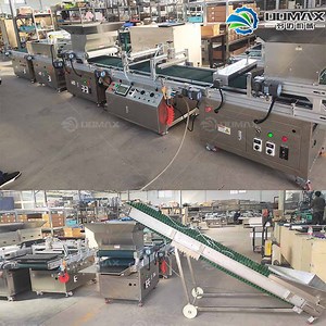 [Hot Item] Advanced Vegetable Seed Sowing Seeding Machine Cabbage Fruits Seed Hole Plate Seeding Machine