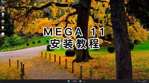 一步步教你装好MEGA 11教程，最新版MEGA 11安装指南！