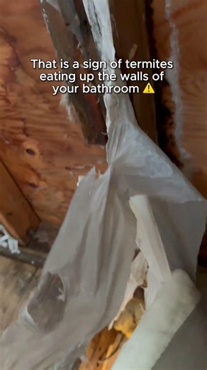 Hidden Termite Damage in Your Bathroom? Don’t Ignore These Signs! #bathroomremodel