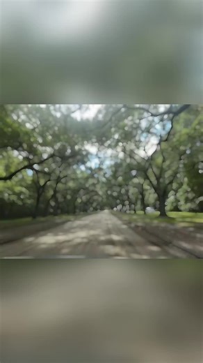Don’t miss this one-of-a-kind piece of Savannah history. That long dirt road beneath the Spanish oaks at Wormsloe Plantation isn’t just beautiful — it’s a walk through nearly 300 years of history. The moss-draped canopy, the quiet, the stillness… this is the Savannah people dream about before they ever arrive. Some places you scroll past. This one makes you stop. 🌳 If Savannah is on your list, Wormsloe belongs at the top. 📍 And if you want to understand why places like this matter, explore the