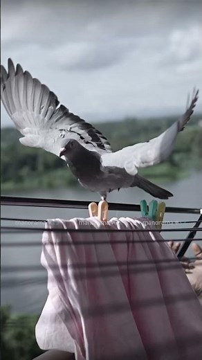 Soul Stories | Malayalam Original Web series | Watch Now on manoramaMAX