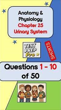 Chp 25 Urinary system practice questions – short