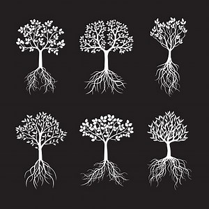Set of Tree and Roots. Vector Illustration.