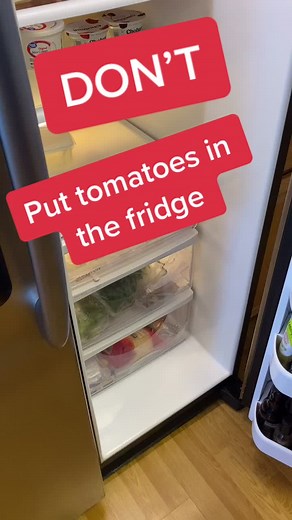 Tomato Dave on TikTok