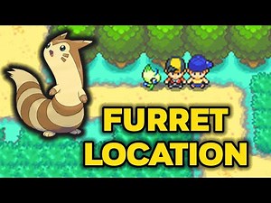 How to Catch Furret in Pokemon HeartGold or SoulSilver!