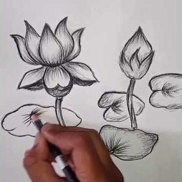 Drawing of louts #viral #drawing #louts