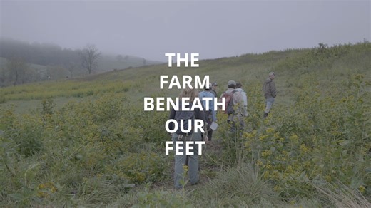 What can studying cattle poop teach us? Quite a lot, actually. Dr. Sally Bornbusch, the George E. Burch Postdoctoral Fellow at the Smithsonian's National Zoo and Conservation Biology Institute, explains how collecting cattle feces helps scientists understand livestock microbiomes; and what they can reveal about animal health, wellbeing and the land they graze on. This project is a collaboration between the Zoo's Virginia Working Landscapes program, the Center for Conservation Genomics and the Bi