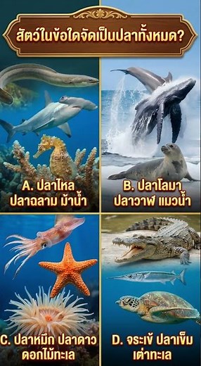 สัตว์ในข้อใดจัดเป็นปลาทั้งหมด