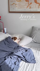 4.8K views · 151 reactions | Jerry's morning routine  Credit: @jerrywasabulldog #englishbulldog_feature #englishbulldogcommunity #bulldoglife #englishbulldogofinstagram #bulldogsofig #englishbulldoglovers #bulldogslife #bulldogfamily | Comfort Food Recipes | Facebook