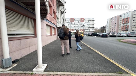 20 reactions | #ADOplusPres, rendez-vous hebdo de M6 Info avec Gulli,...