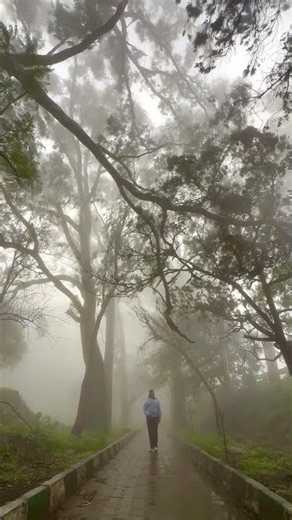 Nandi hills Bangalore #nandihillsbangalore #bangalore#karnataka