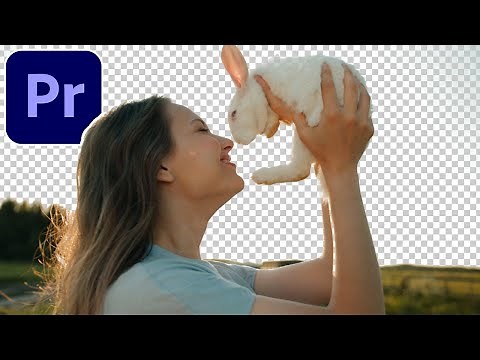 How to Show Transparency Grid Background in Adobe Premiere Pro CC (Tutorial Quick Tip)