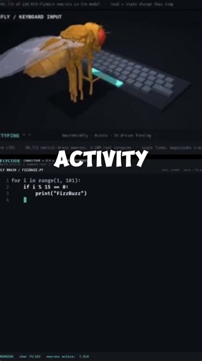 THEY GAVE A FLY BRAIN A KEYBOARD
