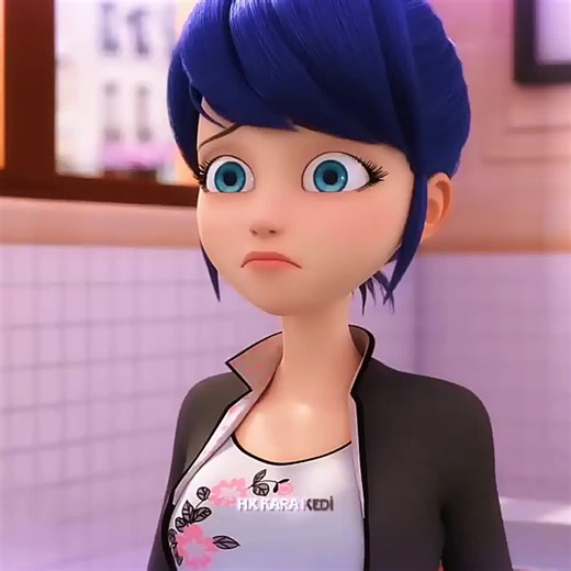 Creative Miraculous Edit for Fans