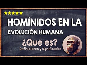 🙏 What are hominids in human evolution? - Characteristics of hominids 🙏