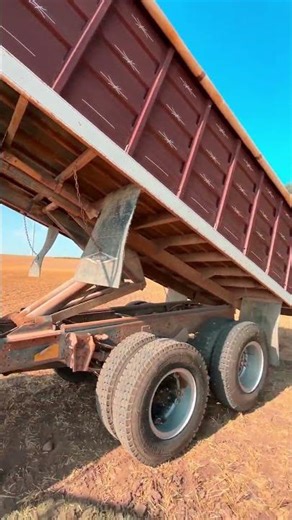 1982 INTERNATIONAL S1700 For Sale