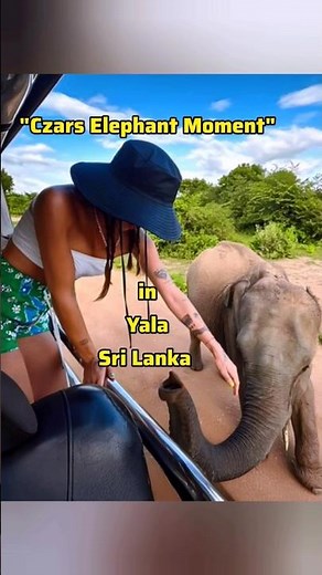 Wild Elephant 🐘🐾️ Moment in Yala National Park | Sri Lanka Safari Vibes