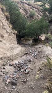 Baja power! 🤘 . . . #vw #aircooled #volkswagen #aircooledvw #bajabug #offroad #nomad #baja | Just Kampers