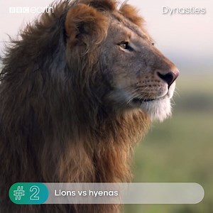 952K views · 3.4K shares | The last 10 years have been unforgettable!  | BBC Earth | Facebook