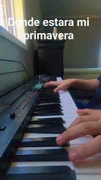 donde estara mi primavera - Marco Antonio Solis #fypシ #piano #pianocover #music #primavera #fyp #