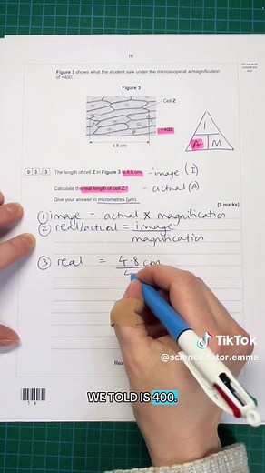 Mastering Microscope Calculations for GCSE Biology