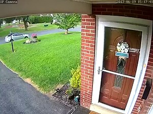 29K views · 204 reactions | STORM SPLITS TREE: Watch a tree split in...