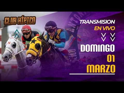 CLUB HÍPICO - 1 de Marzo 2026