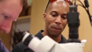 Optical Rectenna Converts Light To DC