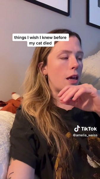 Grieving a Pet: How to Comfort a Grieving Cat After Losing a Pet