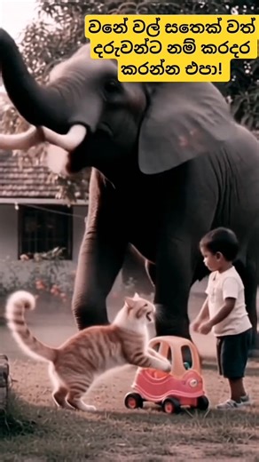 #trendingshorts #accident #news #love