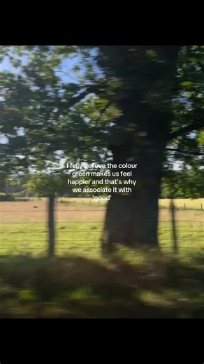 The Joy of Green: How Color Influences Our Mood