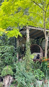 Robinia Pseudoacacia one of my favourite trees, mainly because of the vibrant colour of the leaves, she does have very thorny branches though, thankfully she’s grown so tall now they aren’t a problem! She does make the pergola view very colourful! Happy Tuesday from all @brook_cottage_ #garden #garten #cottagegarden #wildgarden #gardeninspiration #rustic #vintage #jardin #dachshund #wildlifegarden #pergola #tree #robiniapseudoacacia #green #mygarden | Brook cottage