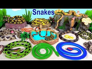 Snakes Serpent Reptile Viper Basilisk Vermin Slithery Nope Ropes 7