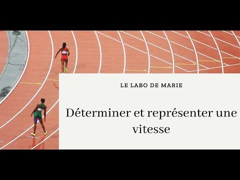 Déterminer et représenter une vitesse - Physique-Chimie - Collège