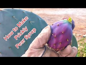 How to Make Prickly Pear Syrup