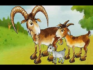 The Three Brother Goats Gruff