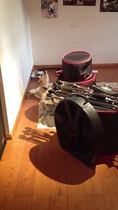 Who is da jazz boi | Memes.