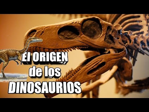 Meet the EXTRAORDINARY ORIGIN of DINOSAURS!