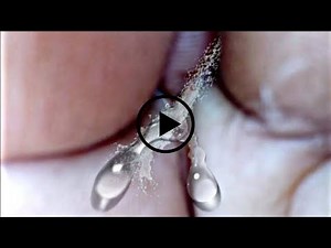 ☕ Relaxing Hand Vlog | Gentle Movements & Cozy Aesthetic Vibes (October 23, 2025) #1