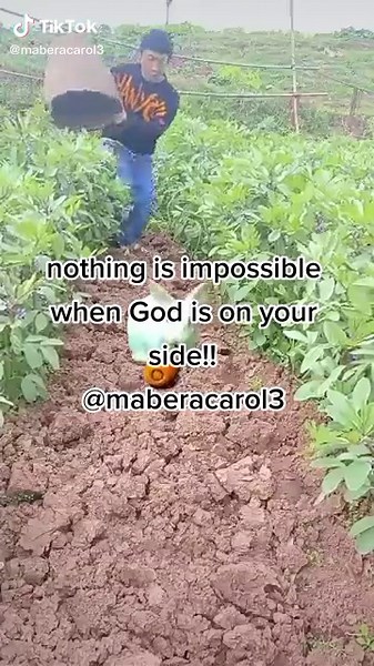 Gardening Tips: Planting Techniques for a Thriving Garden