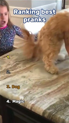 Ranking the CRAZIEST Pranks! 😱😂 #shorts #prank #ranked #top #funny #jokes #comedy #memes #laugh