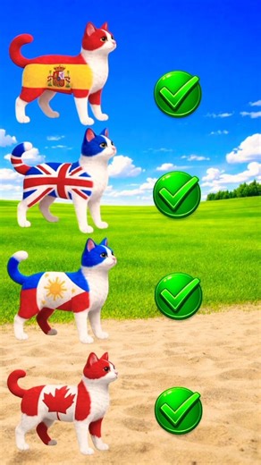 Cat with World Flags 🌍🐱 #shorts #viral