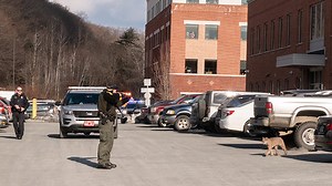 Bobcat killed after attacking 2 people in Upper Valley